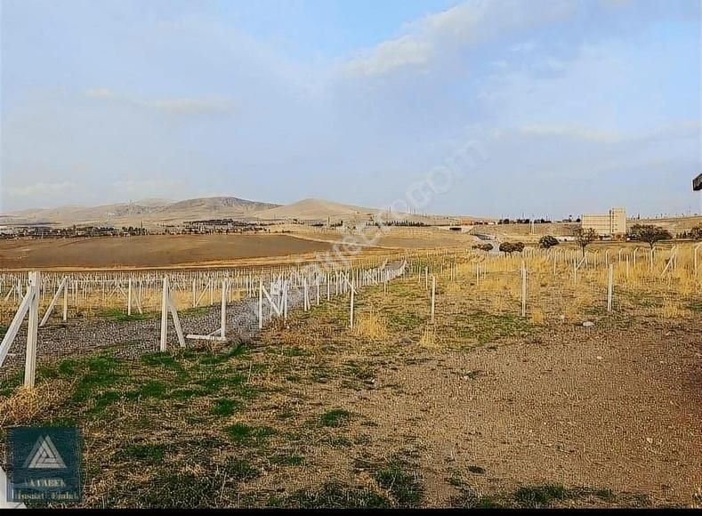 Gölbaşı Ahiboz Satılık Tarla Araç Takaslı Konya Yolunda Asfalt Yola Cephe Satılık Bahçe