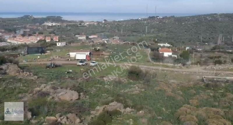 Dikili Bademli Satılık Ticari İmarlı Bademli De Panoramik Deniz Manzaralı Arsa