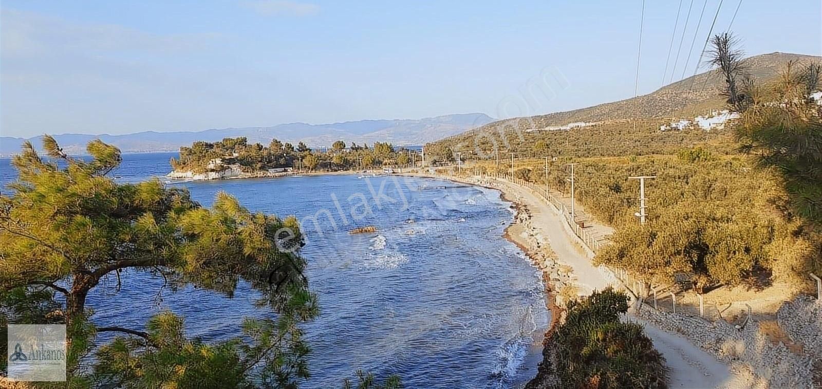 Dikili Bademli Satılık Turizm İmarlı Otel Arazisi Denize 70 Metre Ta2 Turizm İmar Çalışmasında