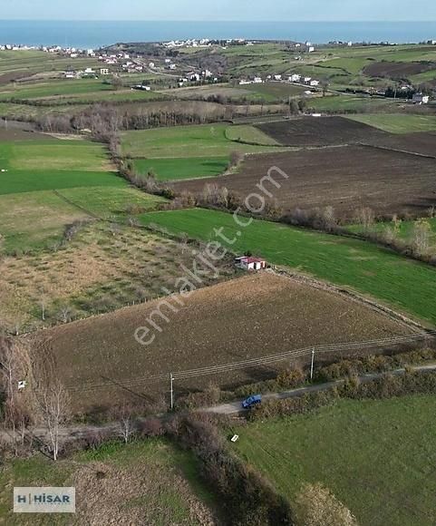 Hisar'dan Çatalçam Da Deniz Man. Yol Elktrik Ve Suyu Olan Tarla - Görsel 5