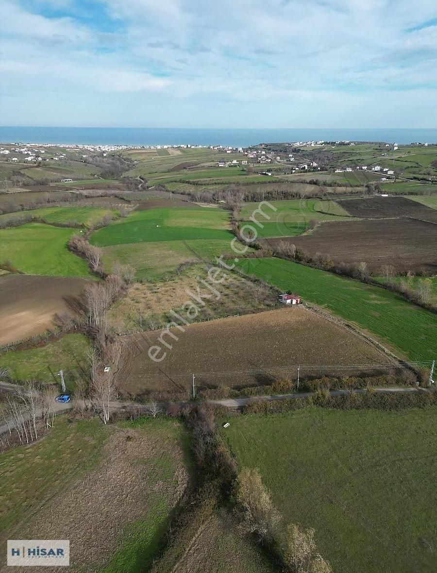 Hisar'dan Çatalçam Da Deniz Man. Yol Elktrik Ve Suyu Olan Tarla - Görsel 3