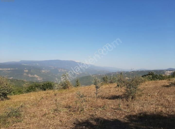 Nilüfer Atlas Satılık Tarla Bursa *nilüfer Atlasköy Satılık 5562m2 Tarla