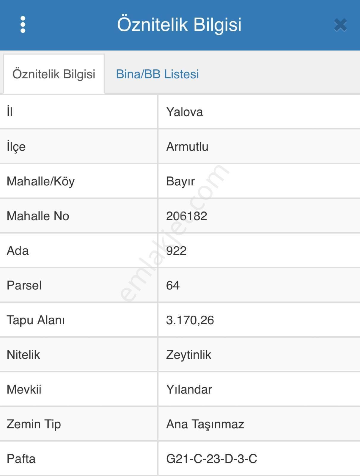 Armutlu Bayır Satılık Zeytinlik 3.170 M2 Deniz Manzaralı Zeytinlik