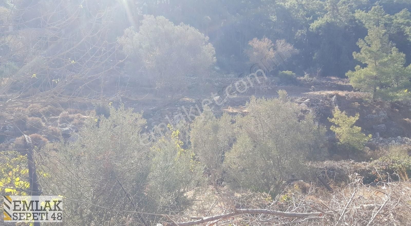 Söğüt Merkezde Çift Tarafı Yol Olan Arsa. Yatırım İçin Fırsat - Görsel 4