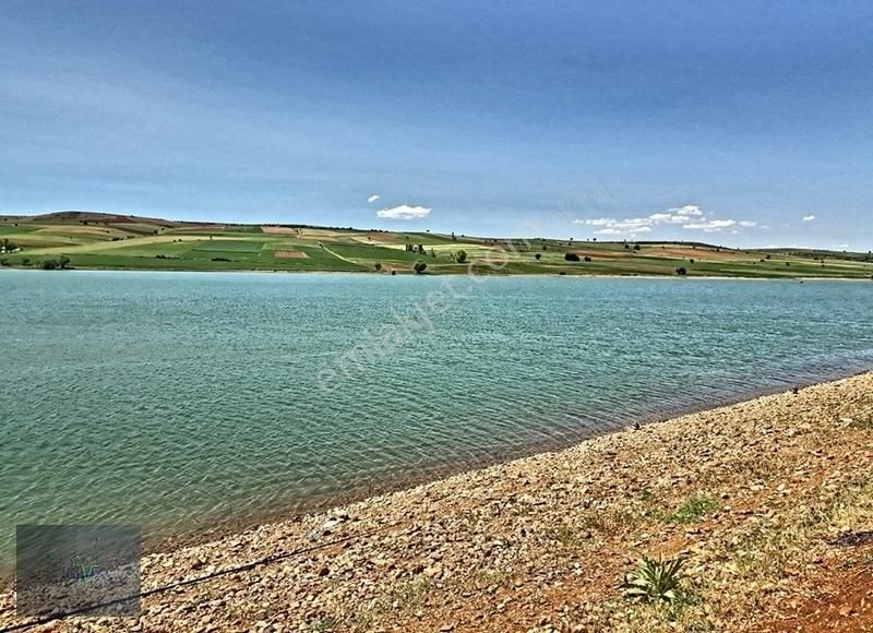 Doğanhisar Başköy Satılık Bağ & Bahçe Konya Doğanhisar Zafer,yerleşimde Sulak Arazi