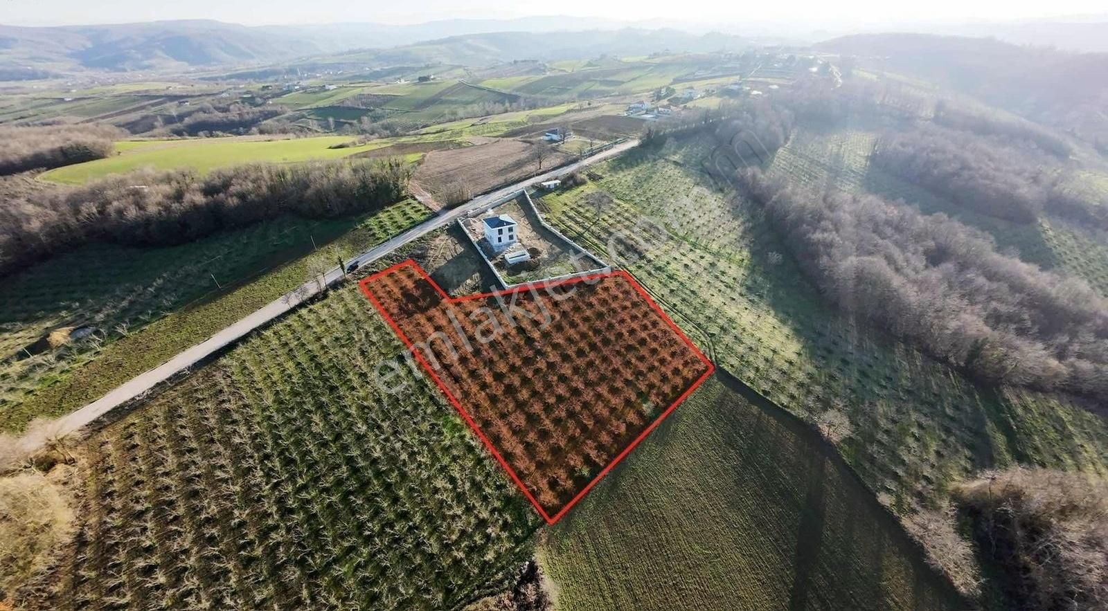 Kandıra Kırkarmut Satılık Tarla Kandıra Kırkarmutda Satılık 4,377 M2 Fındık Bahçesi