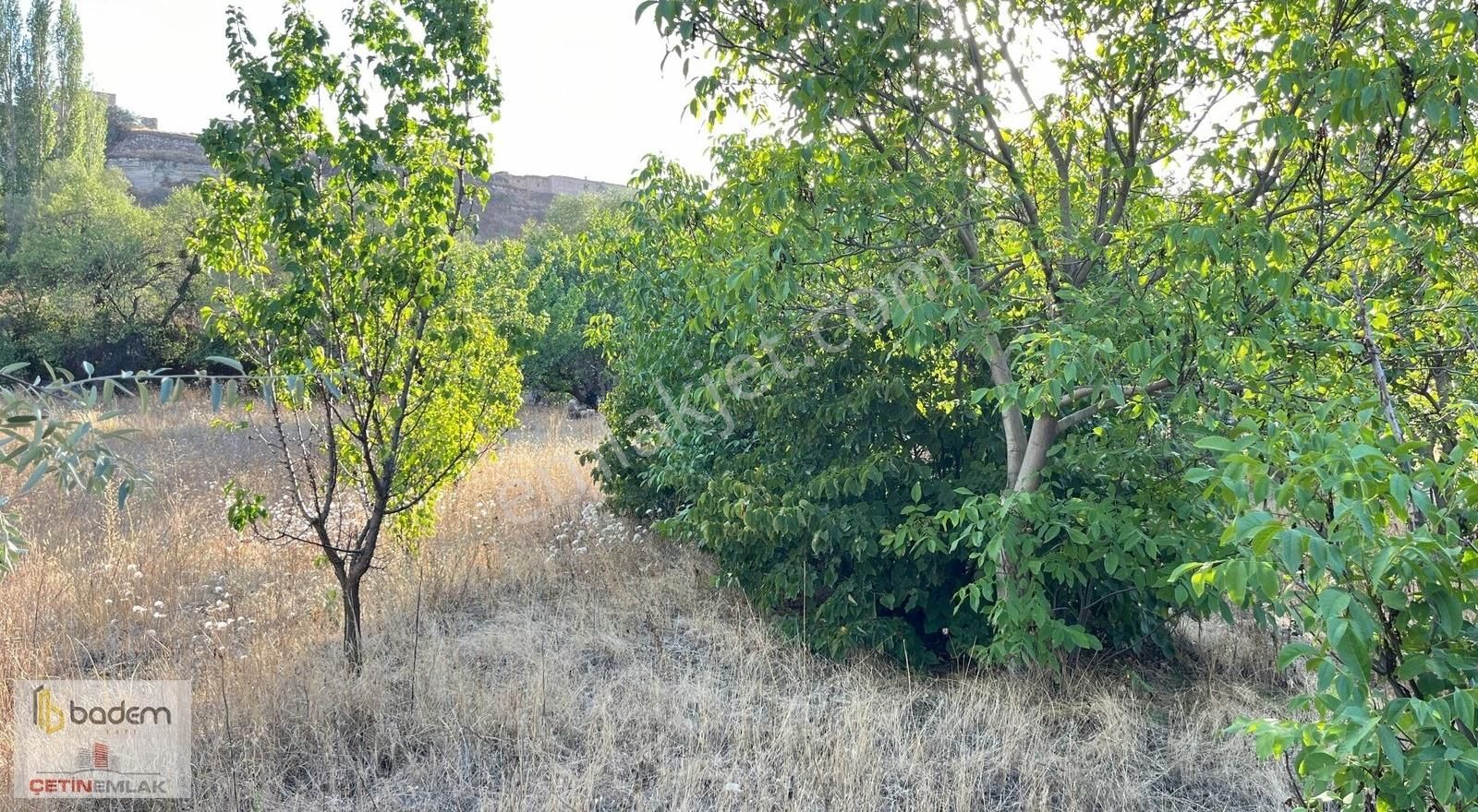 Ürgüp İltaş Köyü Satılık Tarla Ürgüp İltaş Köyü 713 Metre Satılık Bahçe