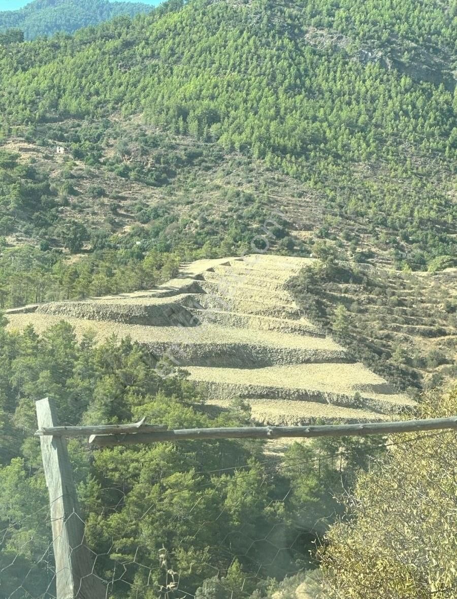 Anamur Demirören Satılık Tarla Altun Emlaktan Satılık Hazır Masrafsız Toprak Yapısı Güzel Tarla