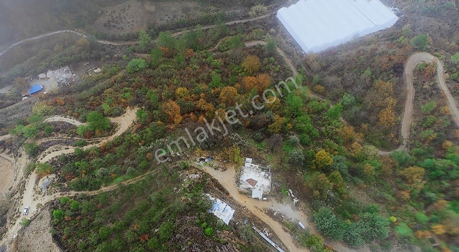 Anamur Korucuk Satılık Tarla Altun Emlaktan Satılık Her Türlü Tarıma Elverişli Büyük Arazi