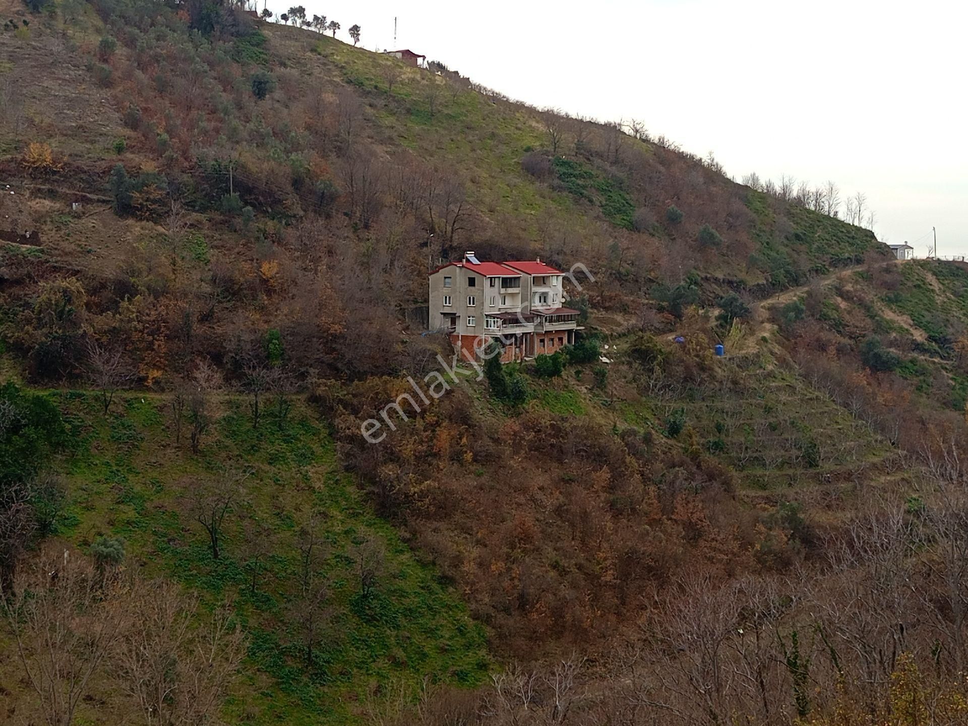 Akçaabat Mersin Satılık Arazi Aydınoğlu Gayrimenkul' Den Akçaabat Mersin' De Deniz Manzaralı Satılık 840 M2 Fırsat Arazi