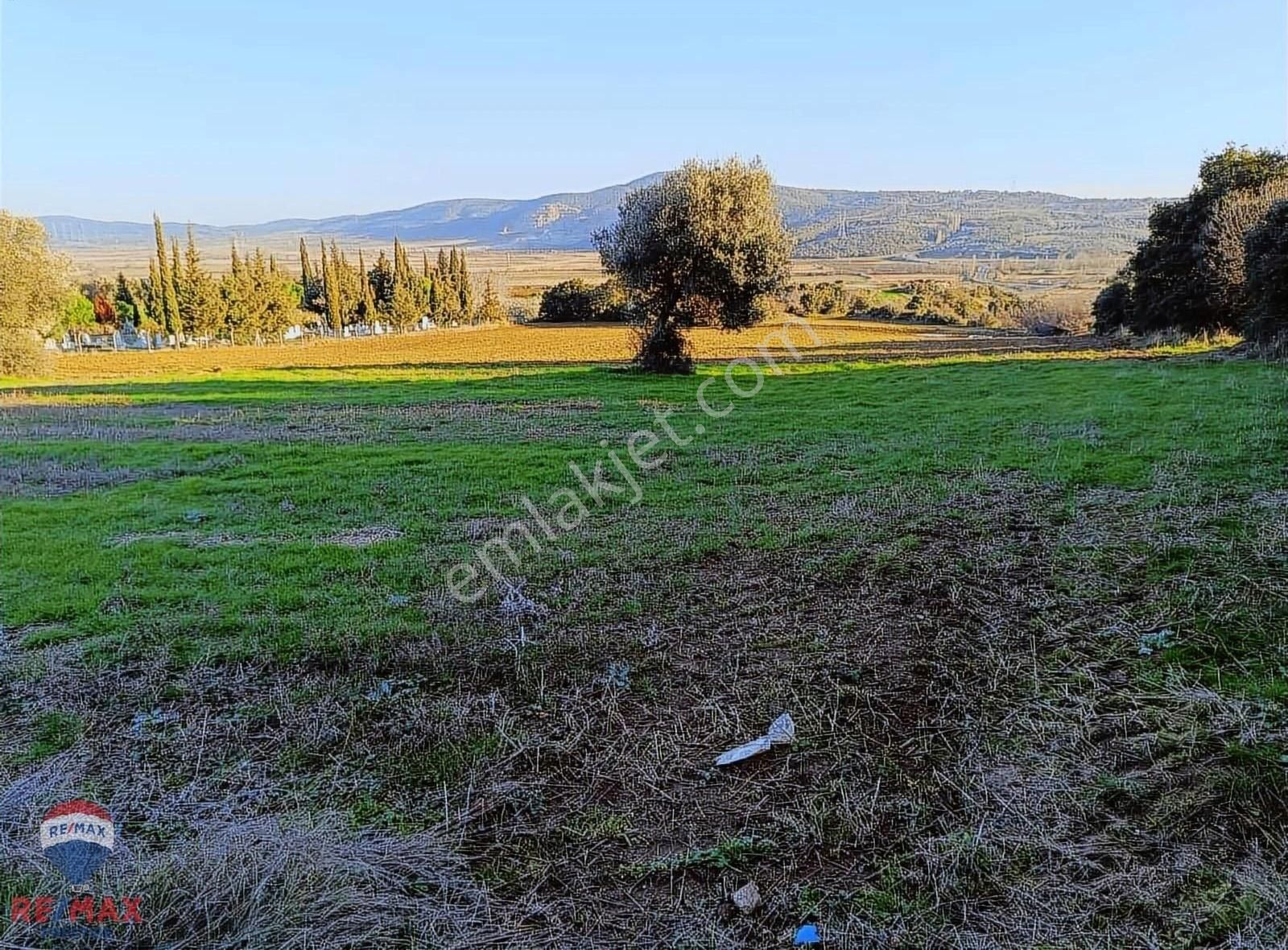 Biga Bekirli Köyü Satılık Tarla Bekirlide Köy İçi Tarlamız Satıştadır