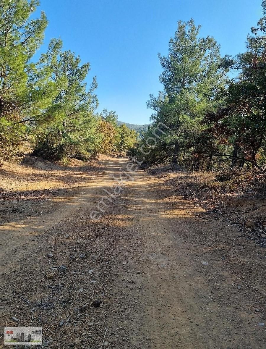 Bayramiç Hacıbekirler Köyü Satılık Tarla Han Emlak'tan Kazdağları Hacıbekirler Köyünde 1800m2 Satılık Bağ