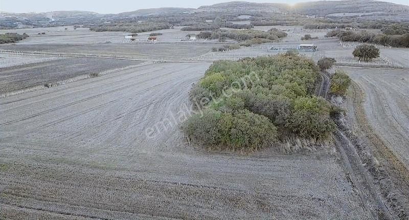 Silivri Çanta Balaban Satılık Tarla Balaban Da 1545 M2 Parsel Kısmi Taksit Olur