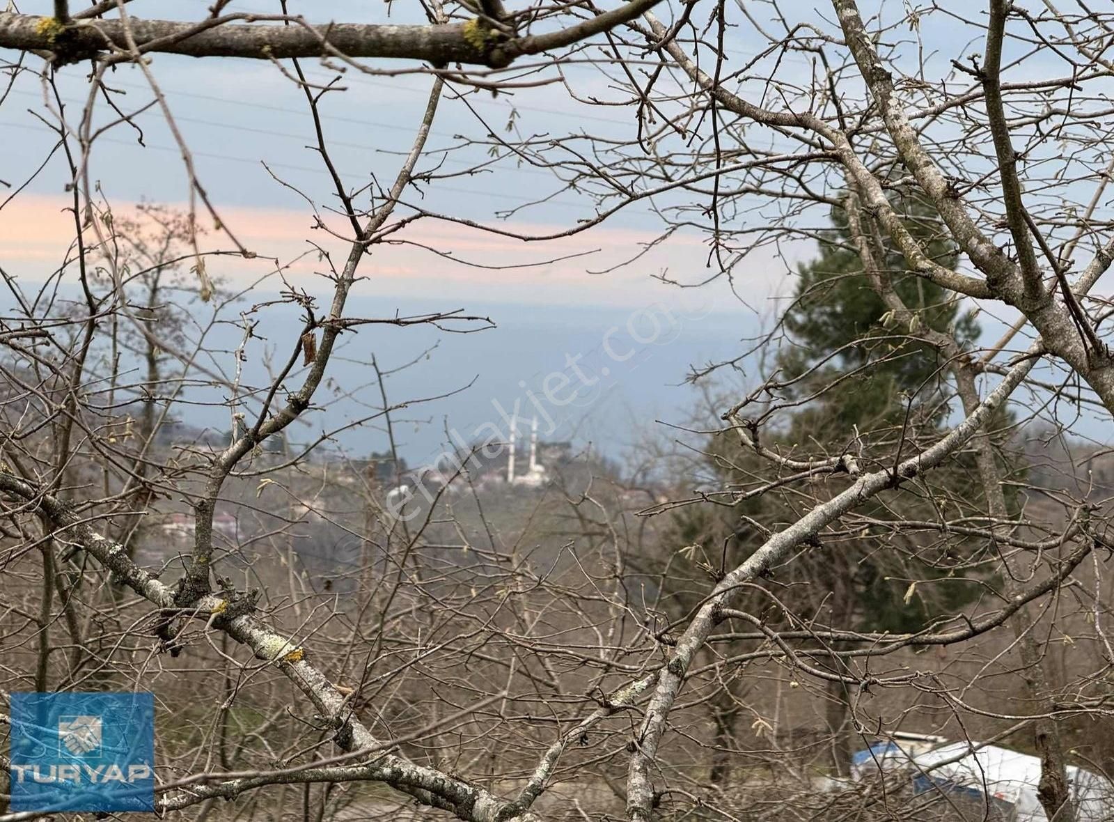 Perşembe Bekirli Satılık Villa İmarlı Ordu Perşembe Bekirli'de Satılık Arsa