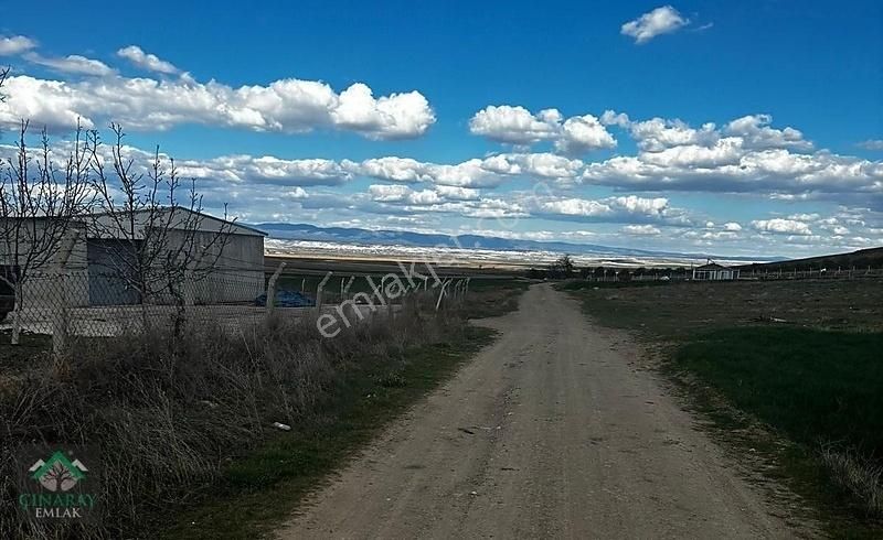 Alpu Aktepe Satılık Tarla Alpu Da Resmi Yol Kenarı 5259 M2 Bahçe