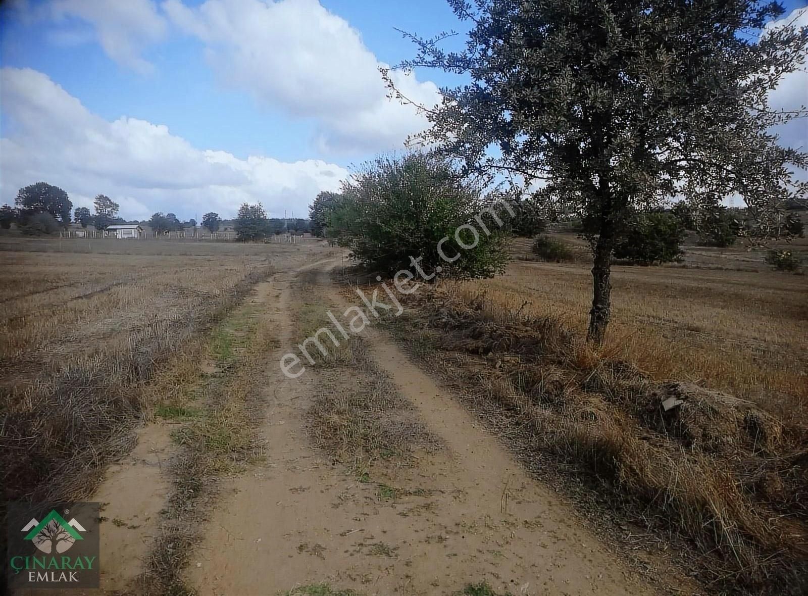 Bozüyük Alibeydüzü Köyü Satılık Tarla Söğüt Bozüyük Arasında 2575 M2