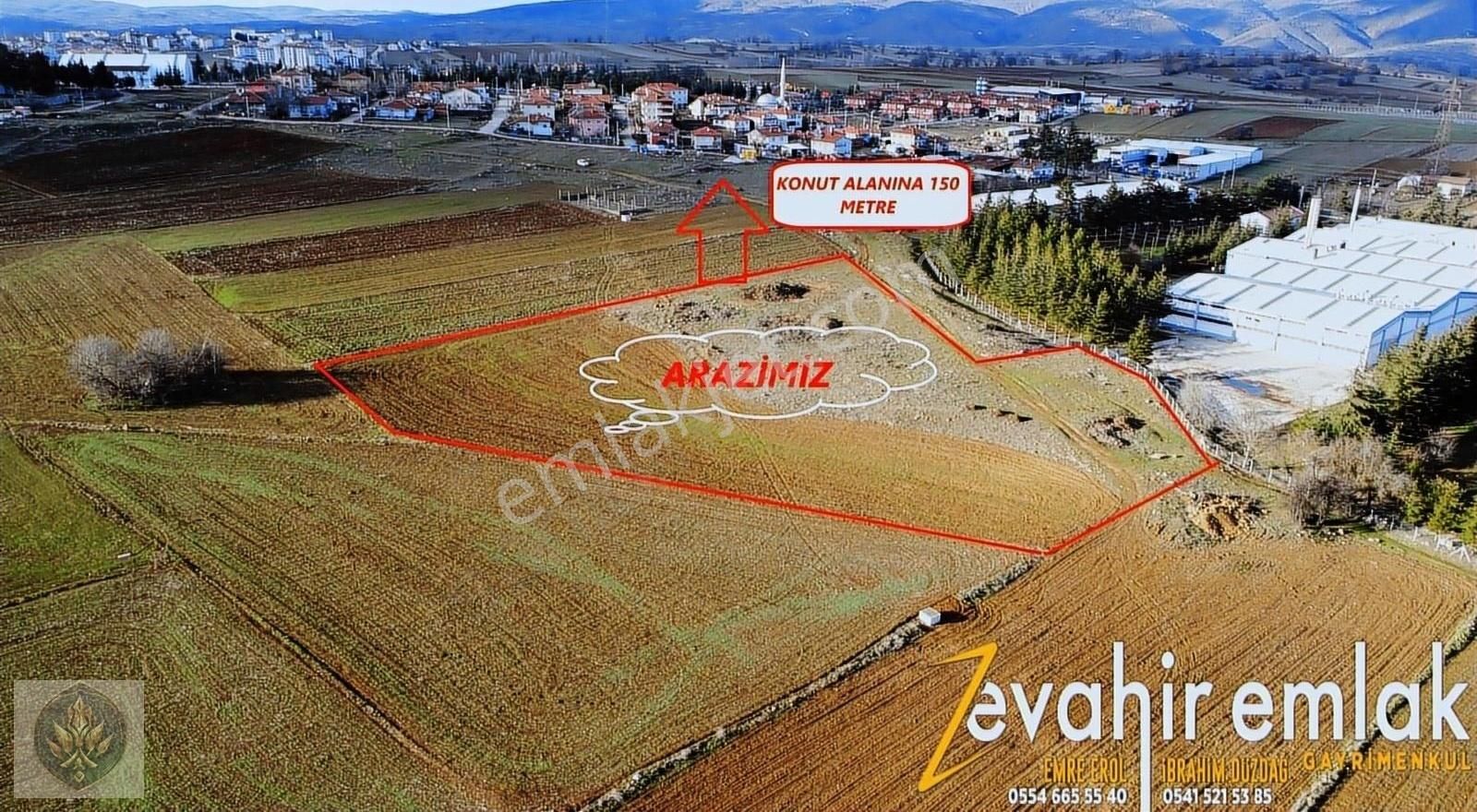 Pazaryeri Yeni Satılık Bağ & Bahçe Zevahir Emlakdan Pazaryeri Merkez Efes Arkası 8.900 M2 Kupon