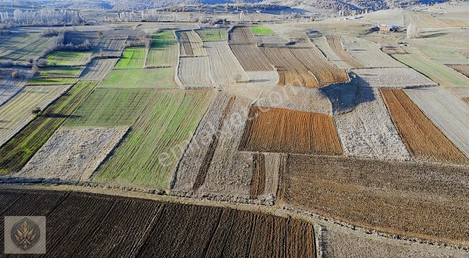 Pazaryeri Yeni Satılık Bağ & Bahçe Zevahir Emlak Pazaryeri Yenimahalle Osb Fabrika Karşı 400 Metre