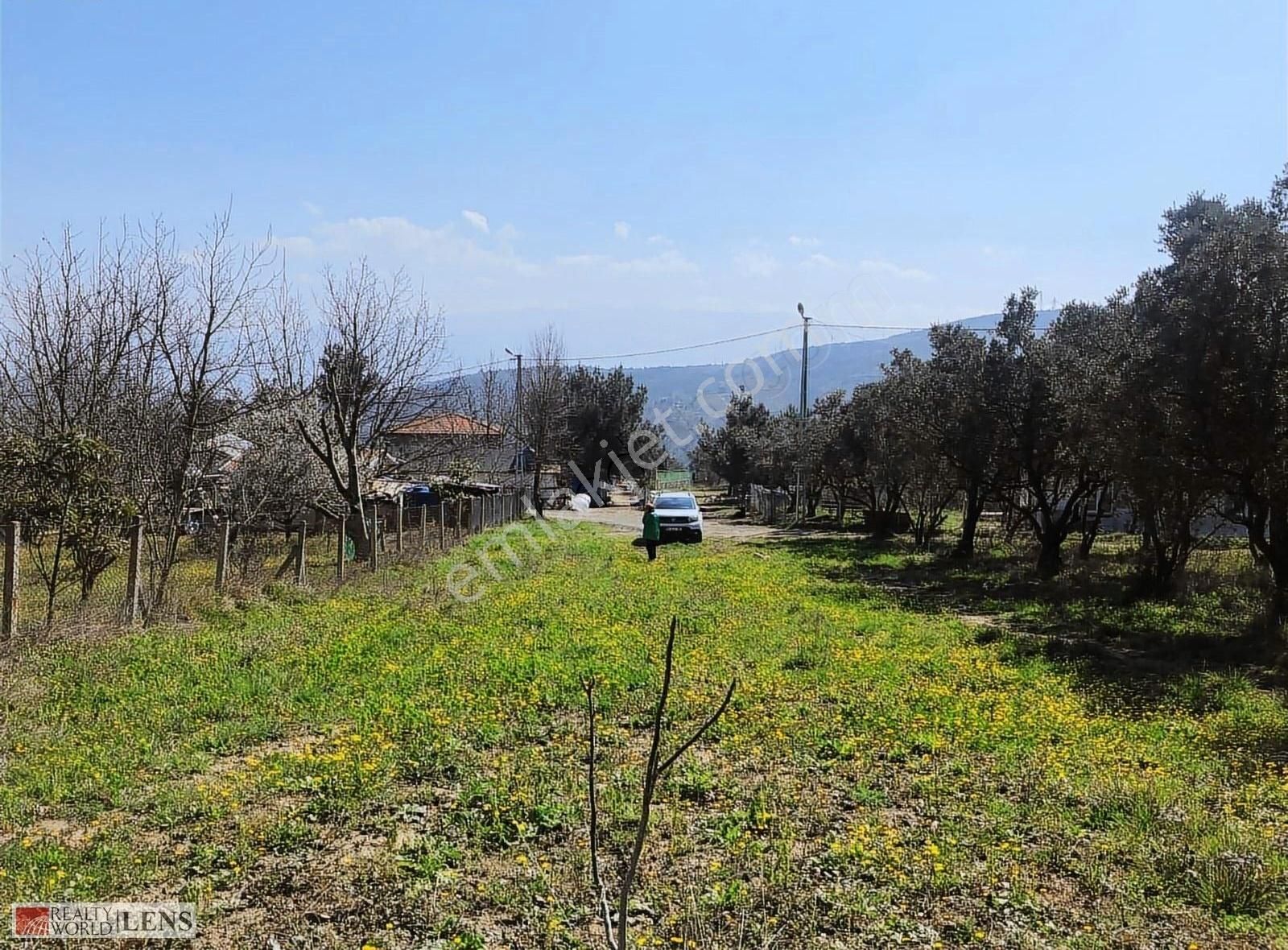 Geyve Alifuatpaşa Satılık Bağ & Bahçe Sakarya Geyvede Okul Mahallesinde Fırsat Arazi!!!