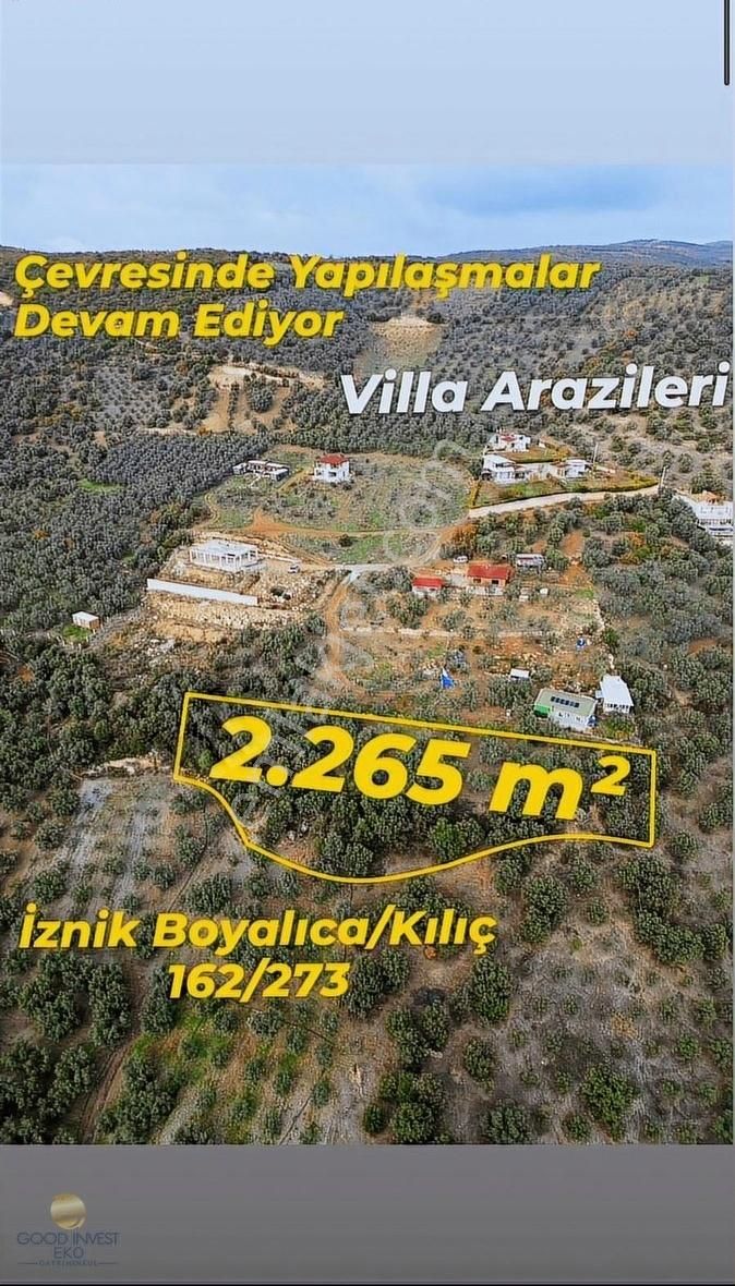 İznik Boyalıca Satılık Zeytinlik Villalık Arazilerde Göl Manzaralı Zeytinlik / İznik - Boyalıca