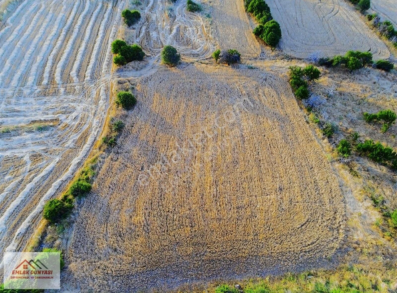 Ayaş Yağmurdede Satılık Bağ & Bahçe Ayaşta Tek Tapu Tertemiz Toprağıyla 2.691 M2 Bağ Yeri