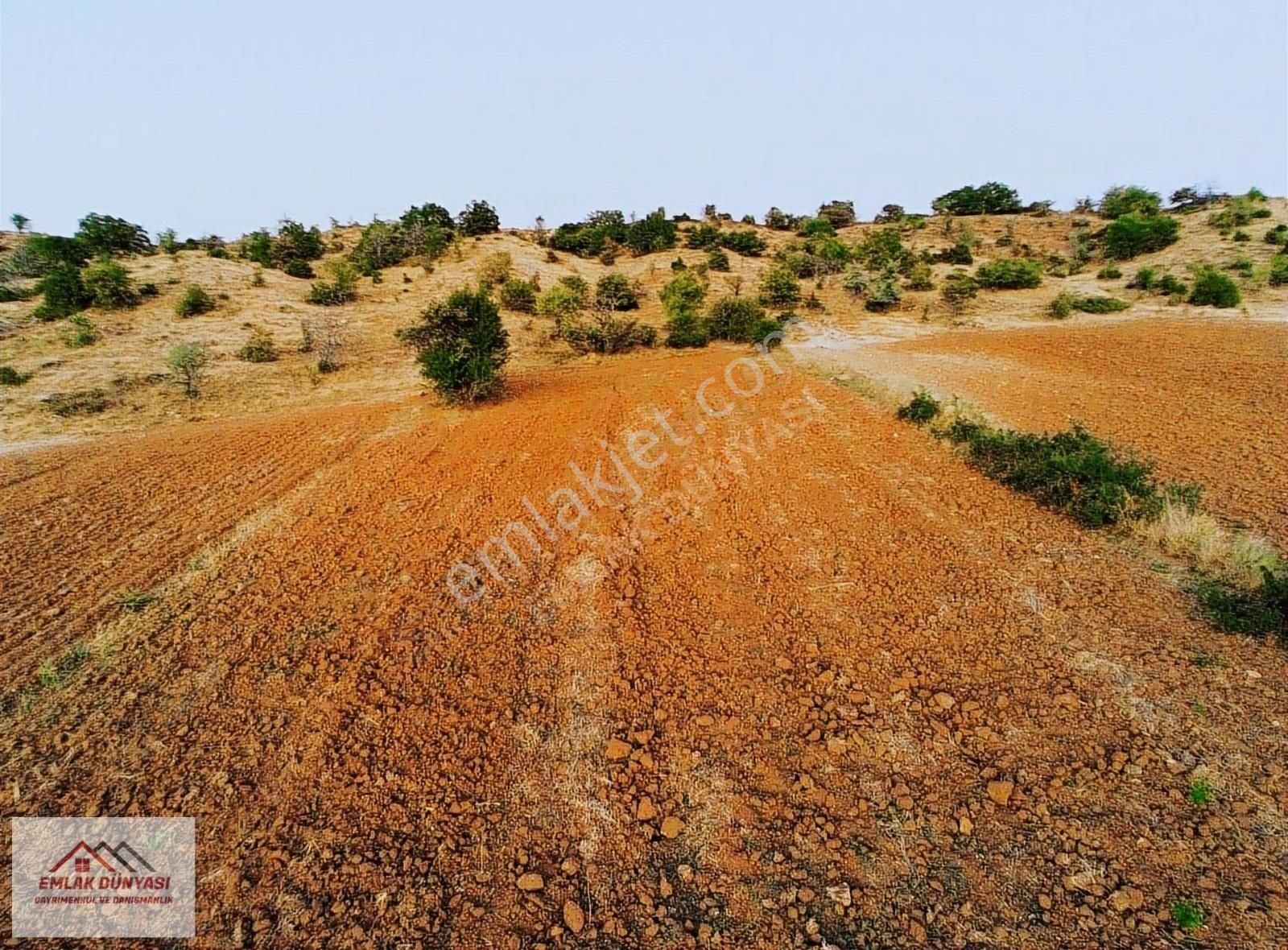 Ayaş Evci Satılık Tarla Ayaşta Tek Tapu Uygun Fiyata 3.507 M2 Tarla