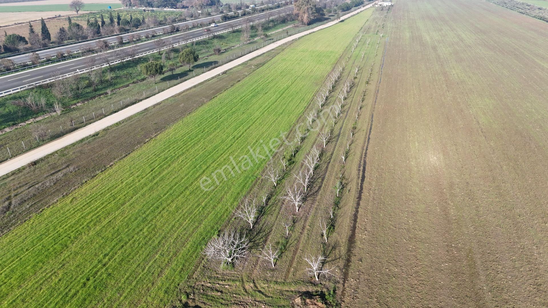 Torbalı Türkmenköy Satılık Tarla İzmir Torbalı Ayrancılar Türkmende 2,200m2 Hisse Tapulu Cevizlik