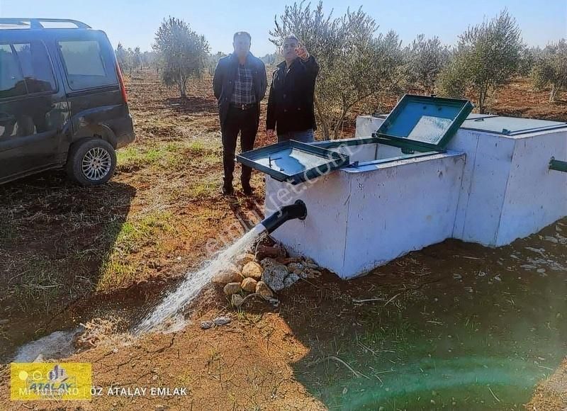 Kilis Merkez İnanlı Köyü Satılık Tarla Acil Satlık Kilis Merkez İnanlı Mahellesinde Arazi Fırsatı