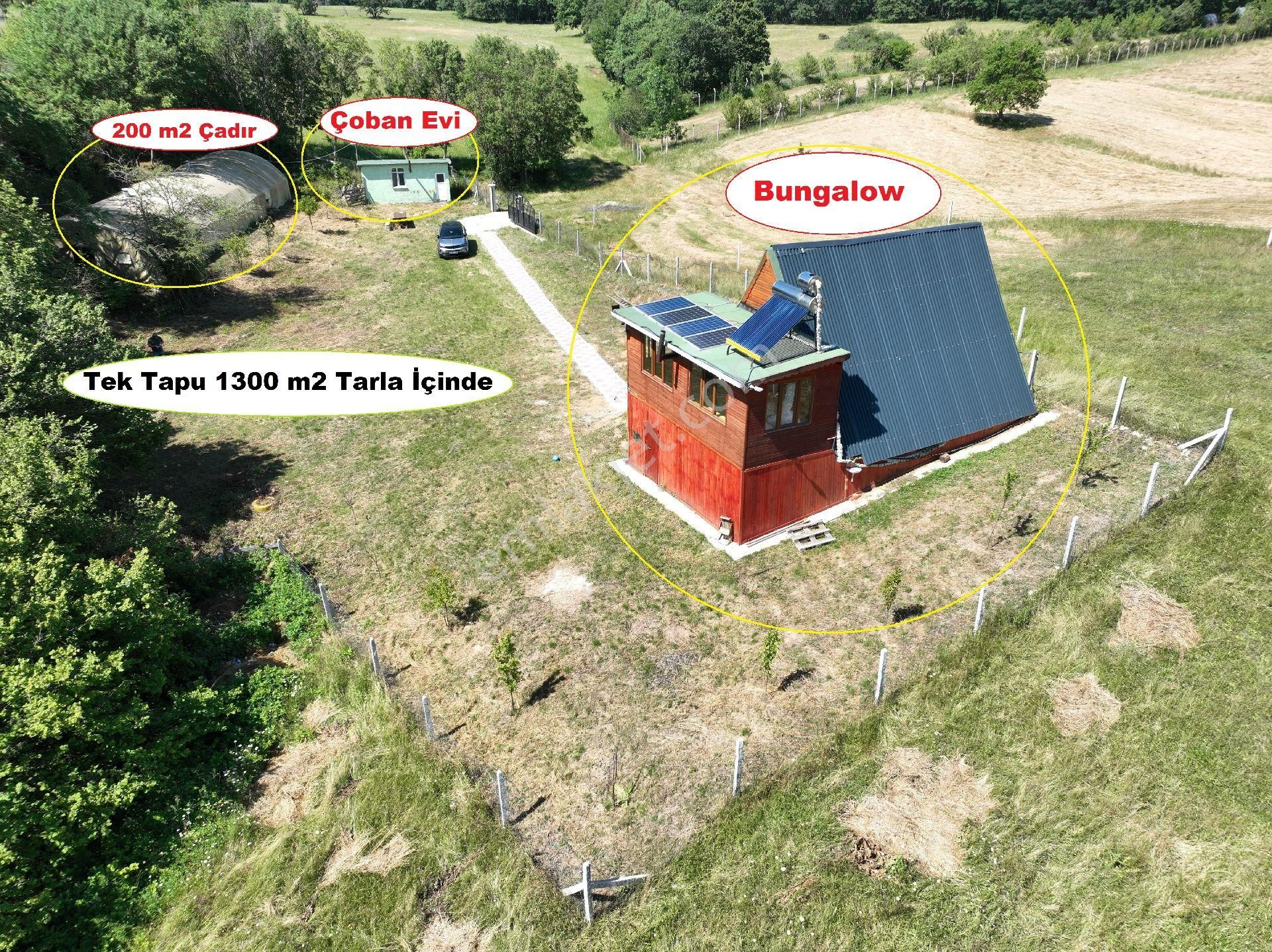 Saray Pazarcık'ta 1300 Metre Argazi İçerisinde Hazır Kurulu Çiftlik - Görsel 33