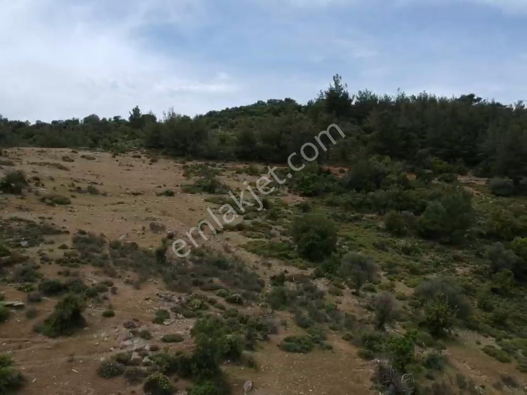 Tayman'dan Milas Bodrum Havalimanına 13,5 Km Gökçeler Kanyonunda Kooperatif Hisseleri - Görsel 6