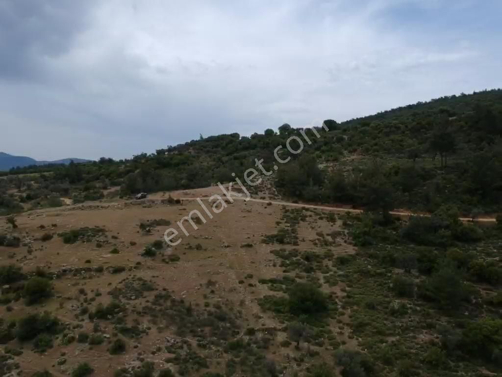 Tayman'dan Milas Bodrum Havalimanına 13,5 Km Gökçeler Kanyonunda Kooperatif Hisseleri - Görsel 5