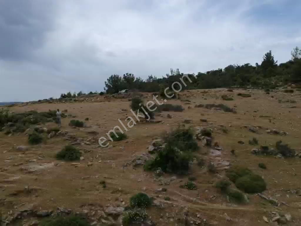 Tayman'dan Milas Bodrum Havalimanına 13,5 Km Gökçeler Kanyonunda Kooperatif Hisseleri - Görsel 10