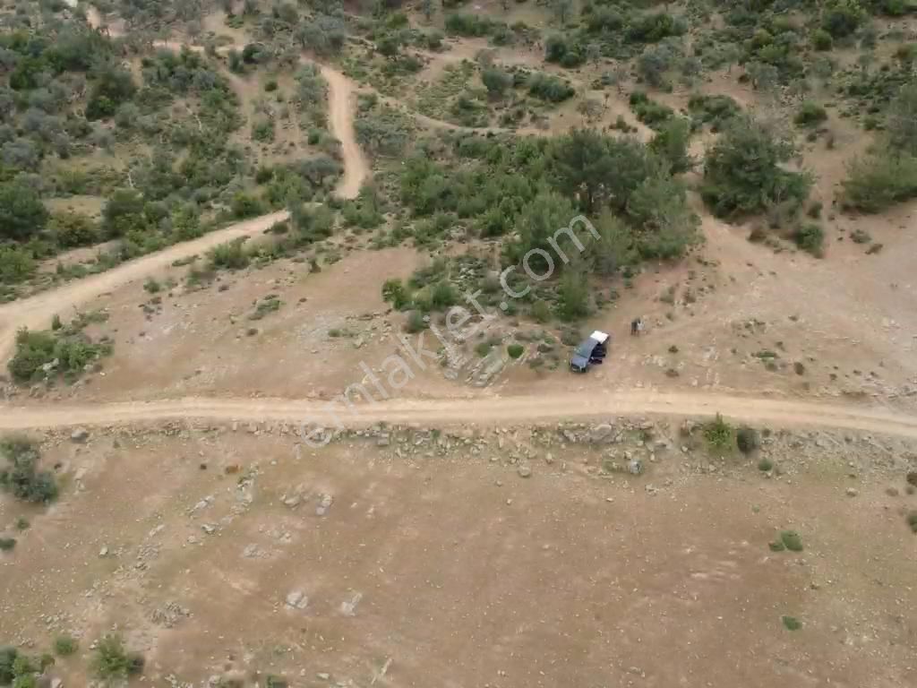 Tayman'dan Milas Bodrum Havalimanına 13,5 Km Gökçeler Kanyonunda Kooperatif Hisseleri - Görsel 3