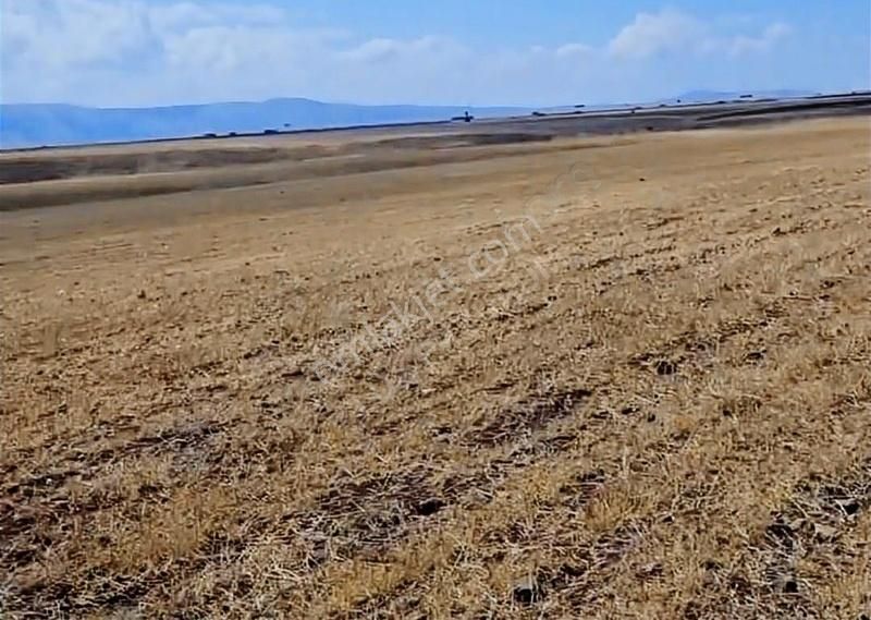 Aziziye Paşayurdu Satılık Tarla Lüx Erzurum'dan Paşayurdunda Anayola Yakın Satılık Tarla