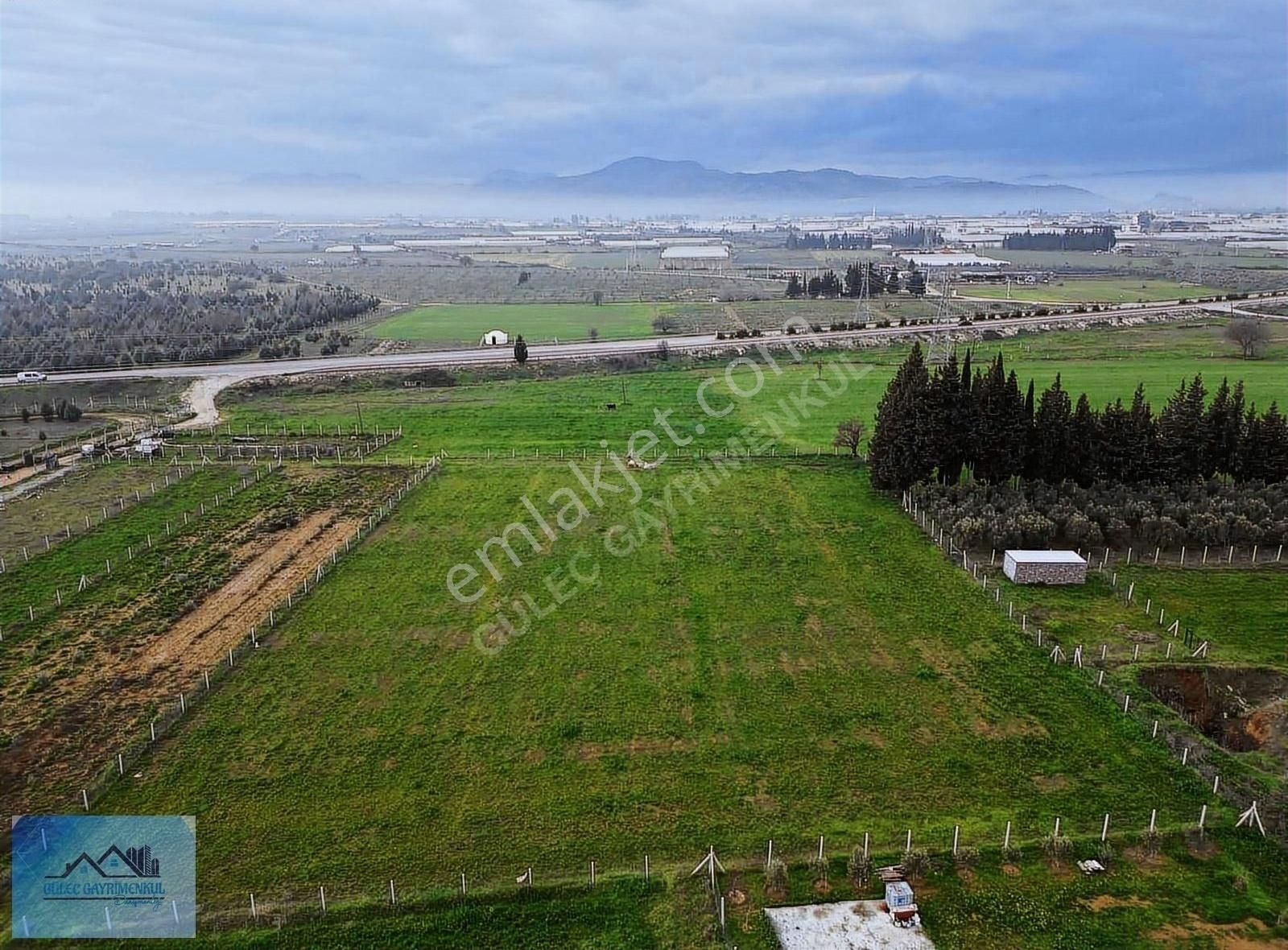 Menderes Develi Satılık Tarla Menderes Develide 6.500 M2 Satılık Hisse Tapulu Tarla