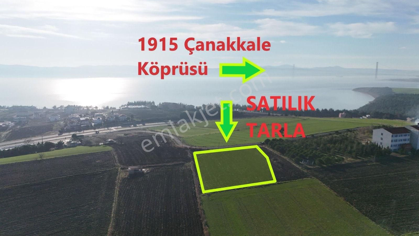 Geliboluda 5000 Lik İmar Planı İçinde Satılık Yatırımlık Arazi, Tarla - Görsel 2