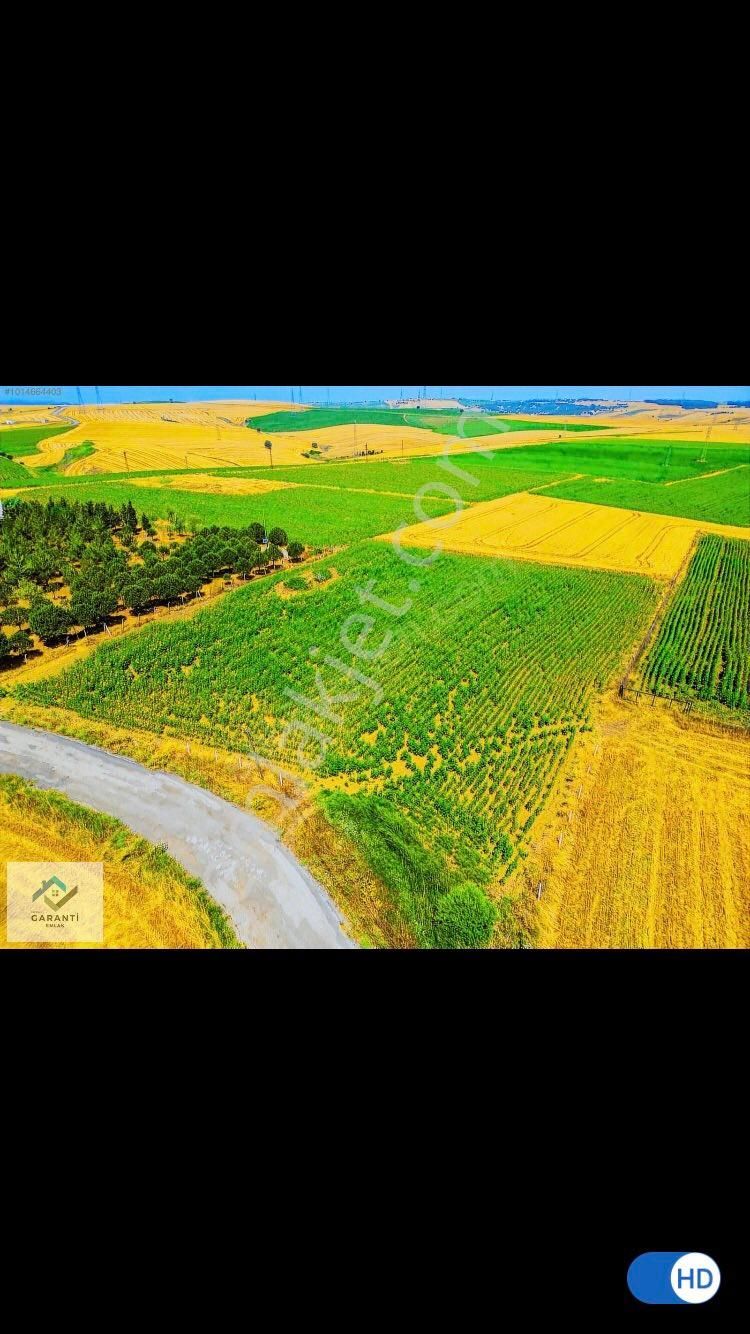 Geliboluda 5000 Lik İmar Planı İçinde Satılık Yatırımlık Arazi, Tarla - Görsel 8
