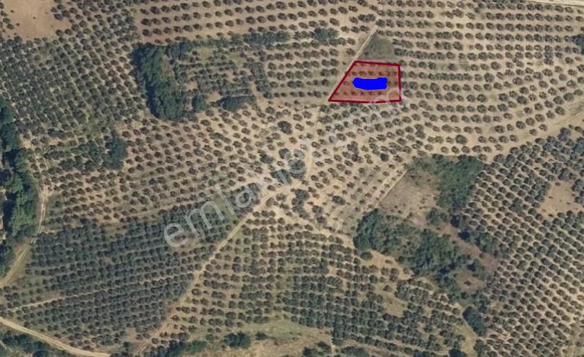 Satılık Bursa Mudanya İpek Yayla Tarla - Görsel 2