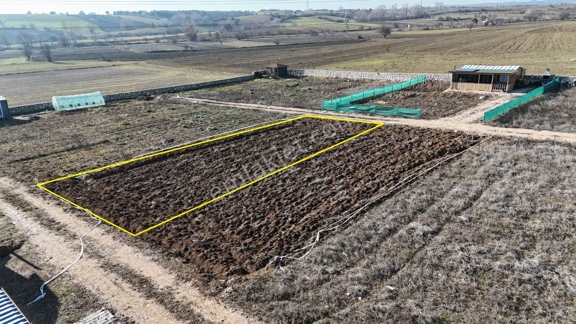 Kastamonu Merkez Halife Köyü (Merkez) Satılık Tarla Kastamonu Emlak Gayrimenkul'den Satılık 300 M² Hobi Bahçesi