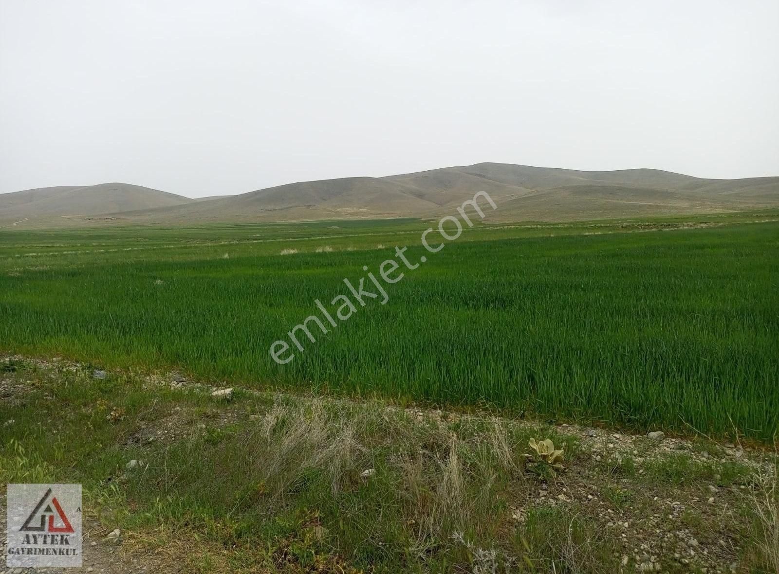Afyonnkarahisar Sultandağı Cukurcak Köyünde Kelepir 13500 M2 - Görsel 26