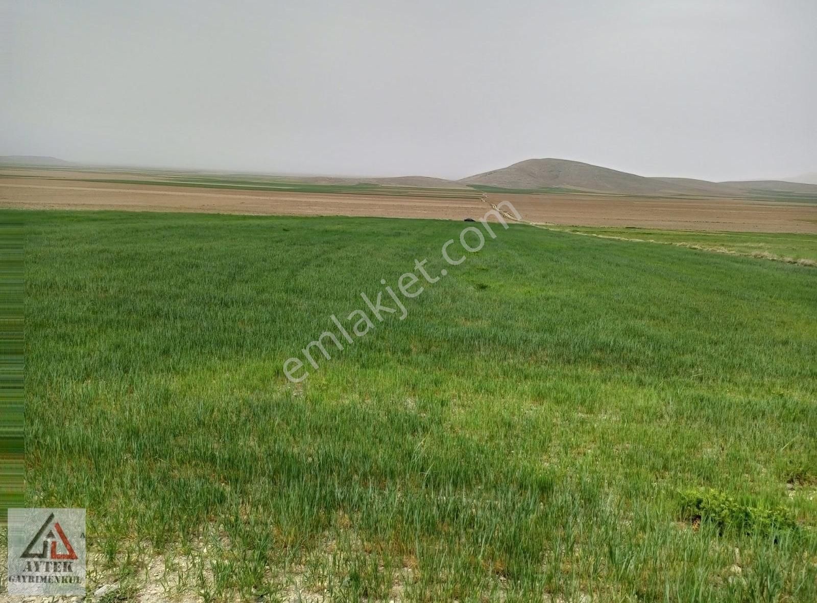 Afyonnkarahisar Sultandağı Cukurcak Köyünde Kelepir 13500 M2 - Görsel 9