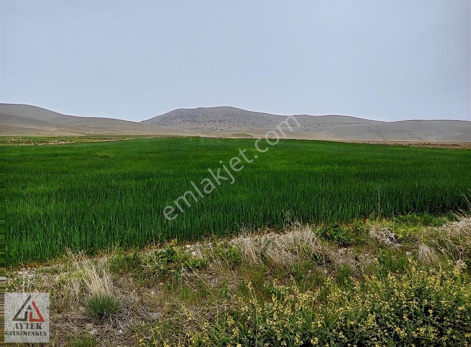 Afyonnkarahisar Sultandağı Cukurcak Köyünde Kelepir 13500 M2 - Görsel 18