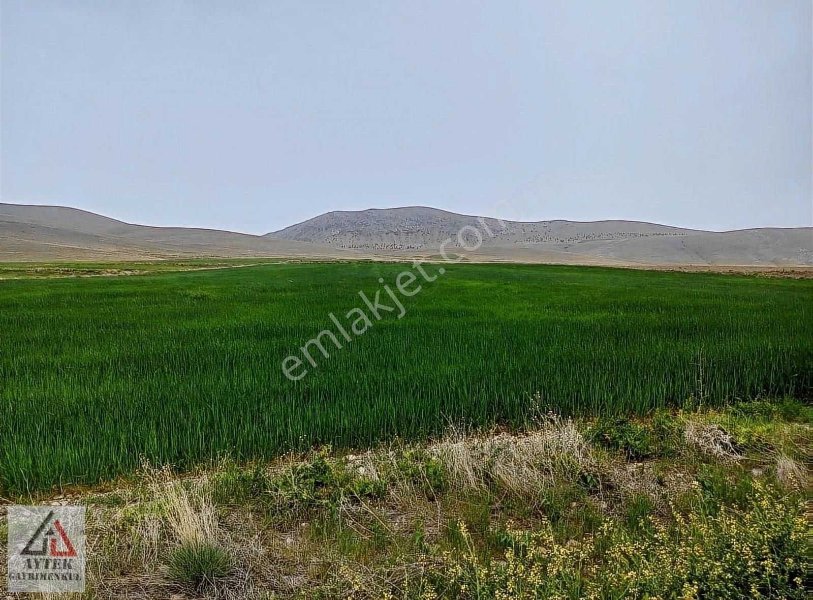 Afyonnkarahisar Sultandağı Cukurcak Köyünde Kelepir 13500 M2 - Görsel 19