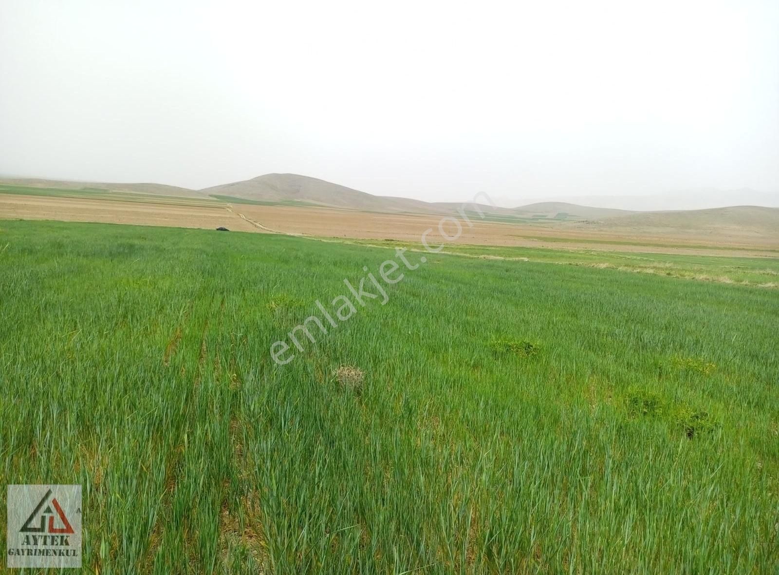Afyonnkarahisar Sultandağı Cukurcak Köyünde Kelepir 13500 M2 - Görsel 15