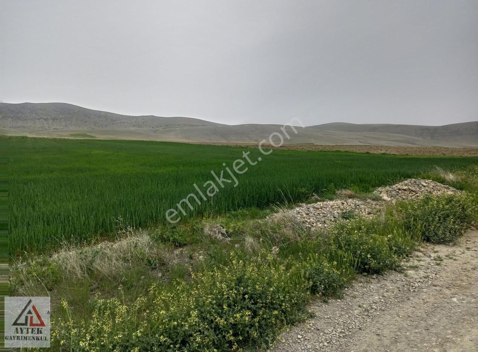 Afyonnkarahisar Sultandağı Cukurcak Köyünde Kelepir 13500 M2 - Görsel 20