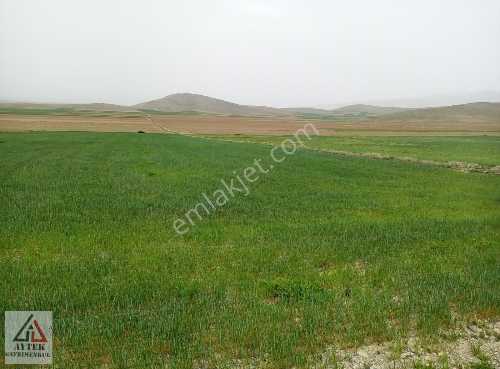 Afyonnkarahisar Sultandağı Cukurcak Köyünde Kelepir 13500 M2 - Görsel 28