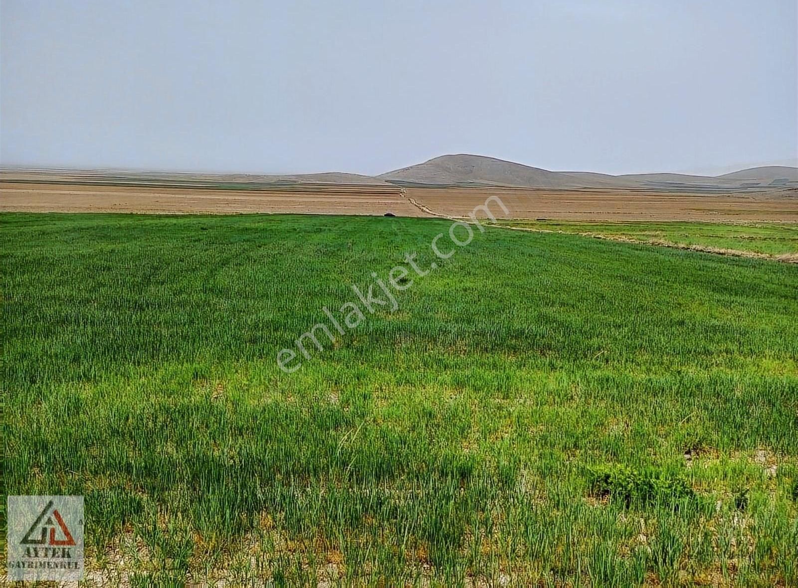 Afyonnkarahisar Sultandağı Cukurcak Köyünde Kelepir 13500 M2 - Görsel 10