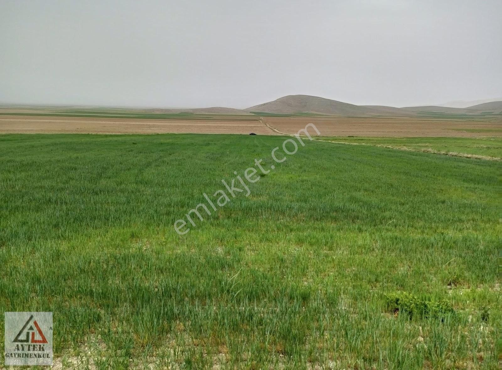 Afyonnkarahisar Sultandağı Cukurcak Köyünde Kelepir 13500 M2 - Görsel 17