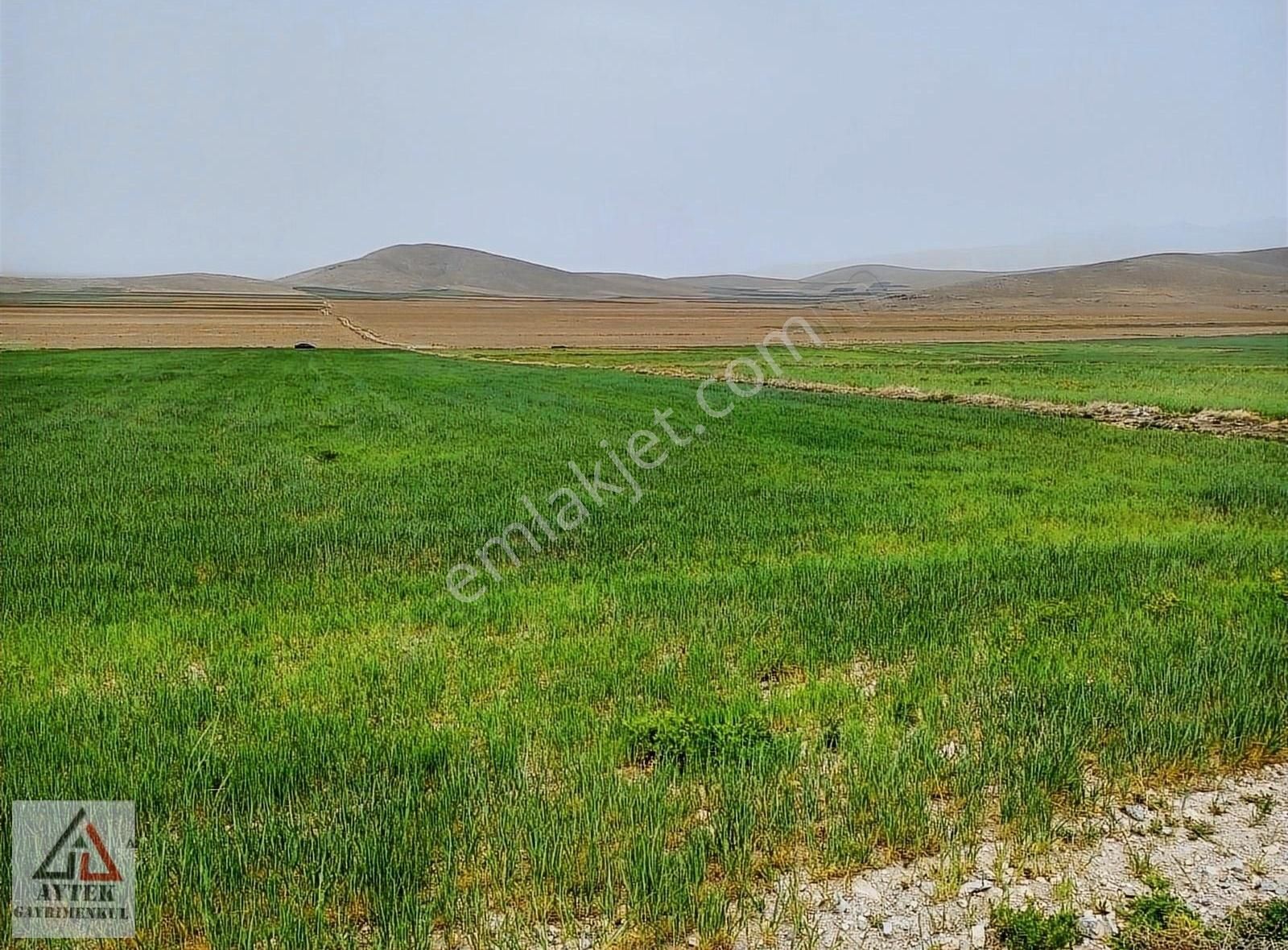 Afyonnkarahisar Sultandağı Cukurcak Köyünde Kelepir 13500 M2 - Görsel 12