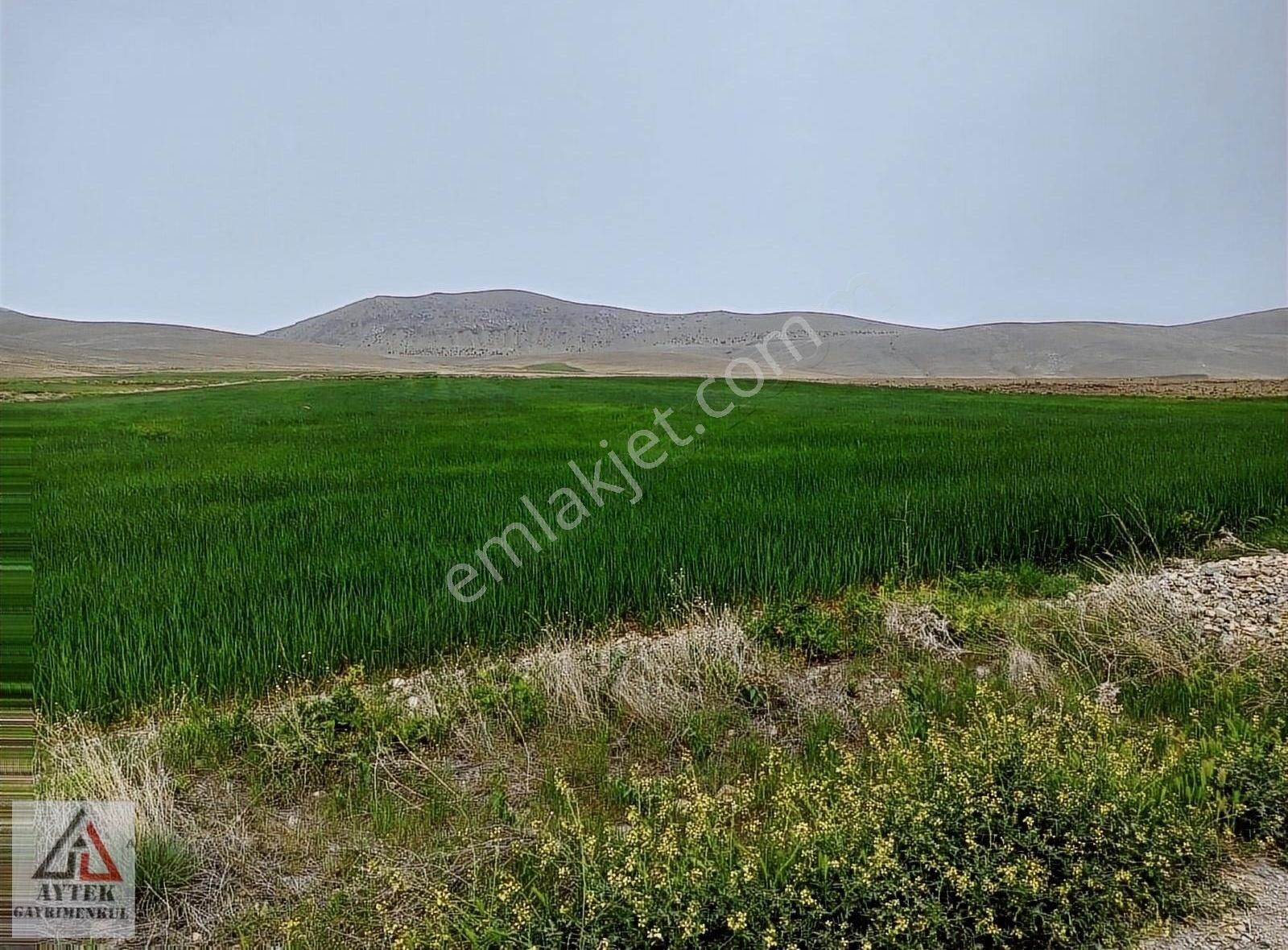 Afyonnkarahisar Sultandağı Cukurcak Köyünde Kelepir 13500 M2 - Görsel 24